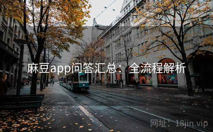 麻豆app问答汇总：全流程解析