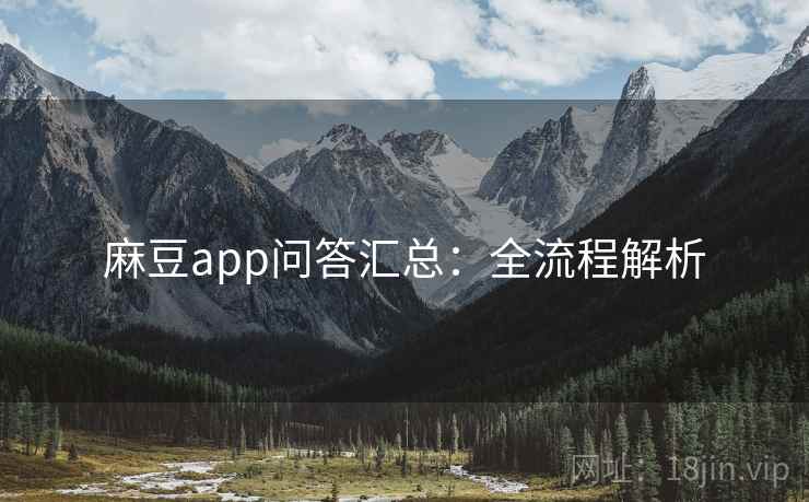 麻豆app问答汇总:全流程解析