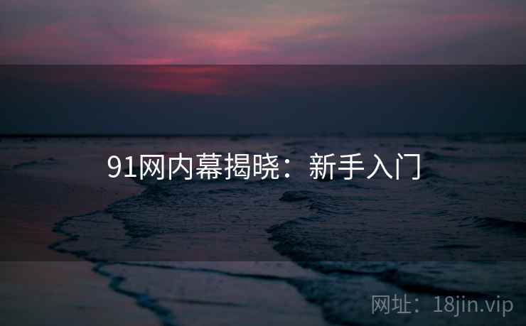 91网内幕揭晓:新手入门